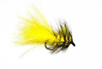 Woolly Bugger - Yellow-Black