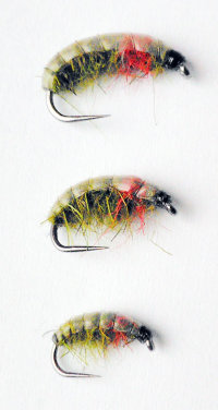 Czech Nymph Olive