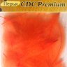 Перо утки CDC Premium (4Trouts)