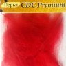 Перо утки CDC Premium (4Trouts)
