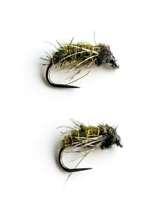 Caddis Pupa V1 Olive