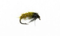 Caddis Pupa V2 Olive