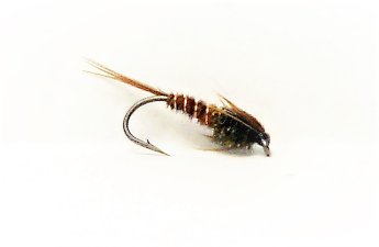 Pheasant Tail