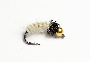 Shark's Caddis Larva BH