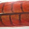Перо фазана Pheasant Tail (Hends products)