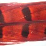 Перо фазана Pheasant Tail (Hends products)