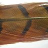 Перо фазана Pheasant Tail (Hends products)