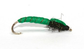 Caddis Larva Green