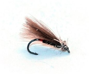 Sedge Brown CDC 