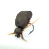 Нахлыстовая мушка Beetle v2 Extended Body