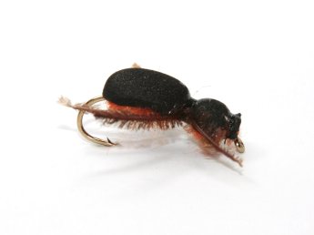 Beetle V3 - Black