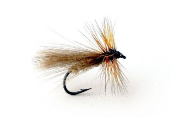 CDC Caddis