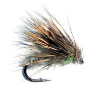 Dead Caddis