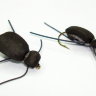 Нахлыстовая мушка  Beetle v5
